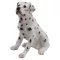 Kutya Pippo 29cm