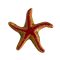 Tengeri csillag kerámia 21cm