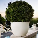 Virágcserép Orion fehér 60cm