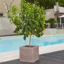 Virágláda Atlantis homok 50cm